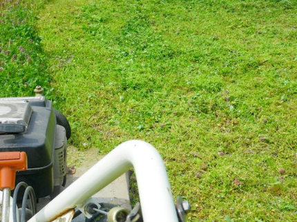 草刈り（草刈り機）のサービス写真