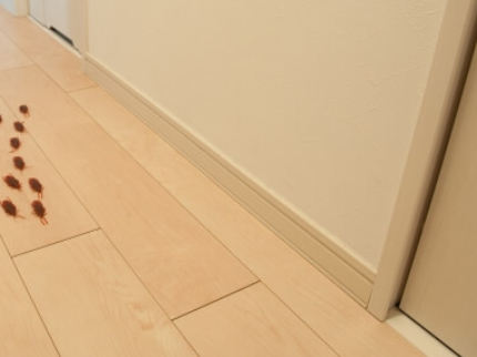 ゴキブリ駆除（居住住宅）のサービス写真