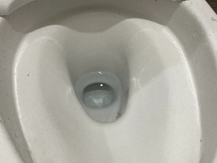 トイレクリーニングのサービス写真 トイレクリーニングのサービス写真