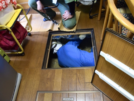 シロアリ駆除のサービス写真