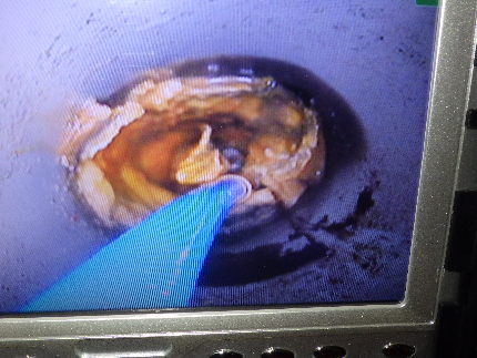 ☆業歴10年☆排水管高圧洗浄☆内視鏡使用☆水回りの詰まり、臭い、御相談ください☆のサービス写真2