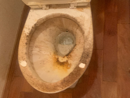 トイレクリーニングのサービス写真 トイレクリーニングのサービス写真