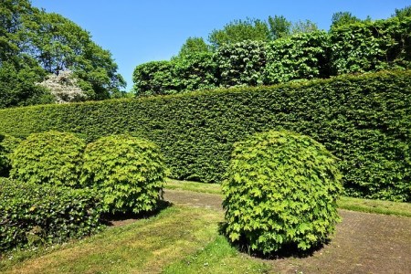 綺麗な敷地と言われませんか 刈り込み 生垣 植木の刈り込み すまいのほっとライン