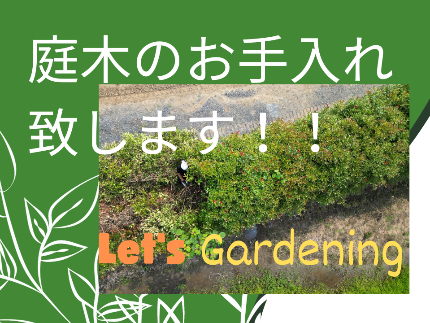 植え込み・生垣の剪定のサービス写真