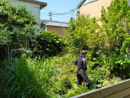 草刈り(草刈り機)のサービス写真 草刈り(草刈り機)のサービス写真