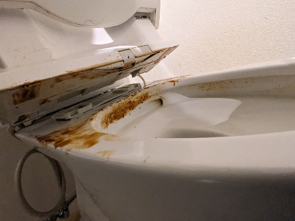 サニタリーシャイン：究極のトイレ徹底洗浄と抗菌コーティング完全サービスです☆のサービス写真1