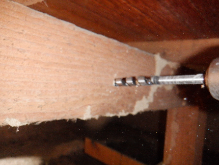 シロアリ駆除のサービス写真 シロアリ駆除のサービス写真