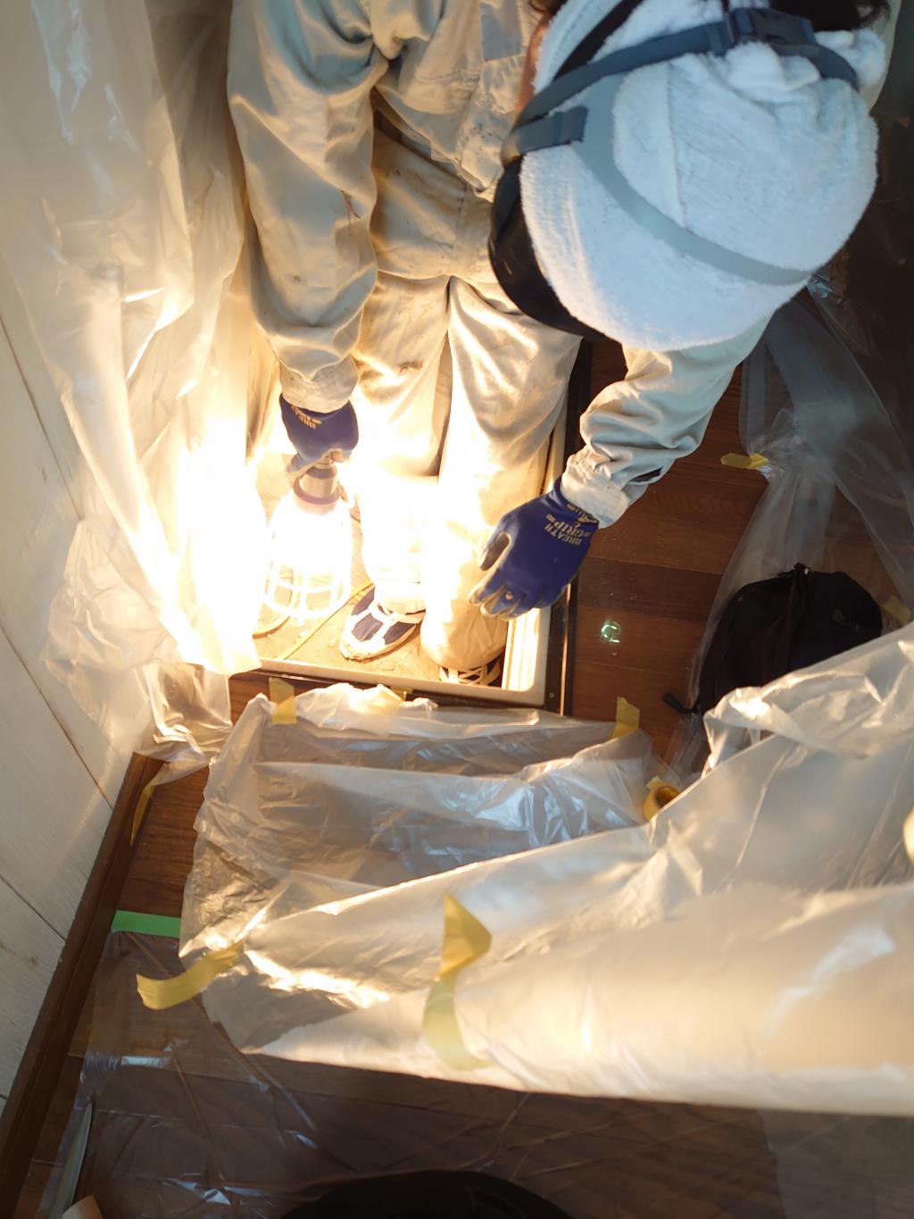 シロアリ駆除のサービス写真