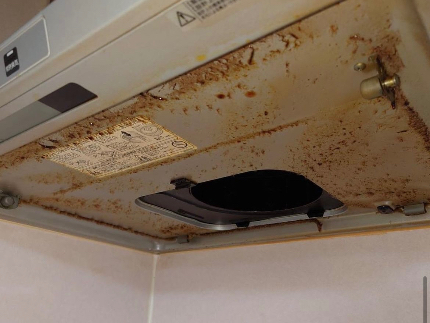 レンジフード(換気扇)クリーニング(レンジフード型)のサービス写真 レンジフード(換気扇)クリーニング(レンジフード型)のサービス写真