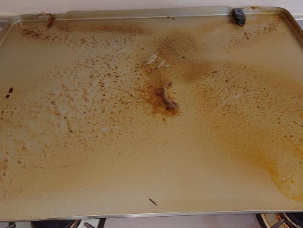 ⭐︎事業拡大⭐︎出店記念価格⭐︎キッチン換気扇クリーニングは当店にお任せくださいのサービス写真3