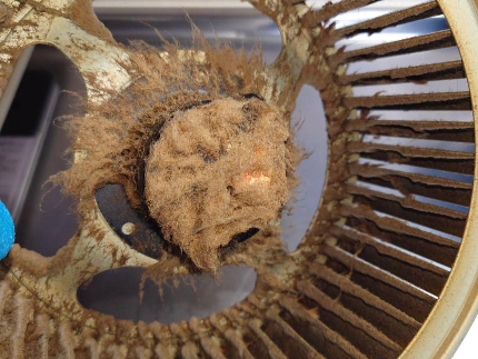 ⭐︎事業拡大⭐︎出店記念価格⭐︎キッチン換気扇クリーニングは当店にお任せくださいのサービス写真5