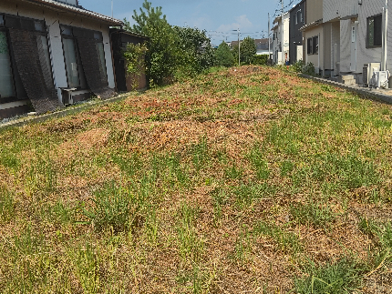 女性スタッフだけの便利屋!草刈り致します。お気軽にお問い合わせ下さいのサービス写真1