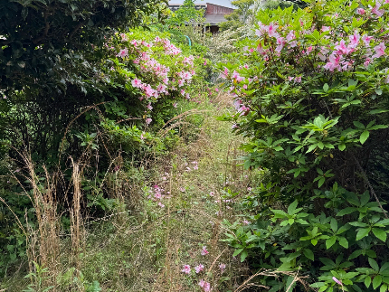 草刈り（草刈り機）のサービス写真