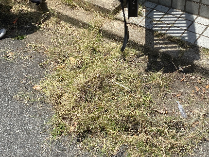 面倒な草むしり(手作業)の事ならお任せ下さい、まずは無料見積｜草むしり（手作業） - すまいのホットライン