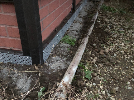 ネズミ駆除のサービス写真