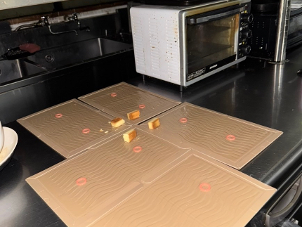 ネズミ駆除のサービス写真