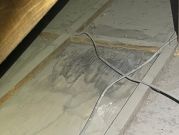 ⭐︎ハクビシン駆除数百件の施工実績あり！完全駆除するまでお付き合いします!!!!のサービスサムネイル写真2