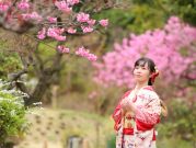 間藤店長の出張撮影・カメラマン（家族・成人式・卒業入学）(画像35513-4)