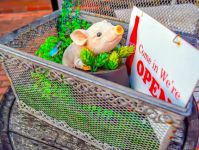 加庭店長の出張撮影・カメラマン（プロフィール・SNS・宣材写真）(画像41219-5)