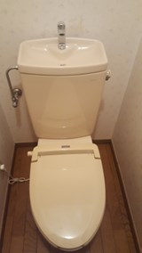 安心真心☆熟練の職人によるトイレクリーニング☆落ちない汚れも徹底的に磨き上げますのサービスサムネイル写真1