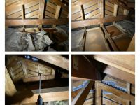 コウモリ駆除8,800円～即日対応可能！訪問見積もり無料！先ずはご相談から!のサービスサムネイル写真1