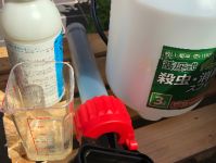 害虫駆除のセカンドオピニオンは当店までお問い合わせください。☆即日対応可能☆スピード急行のサービスサムネイル写真3