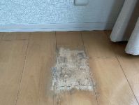 住宅のお困りの傷、色あせ、シミなど交換ではなくリペアで即座にお直し致します!のサービスサムネイル写真1