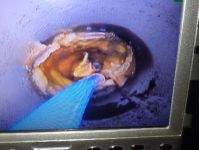 ☆業歴10年☆排水管高圧洗浄☆内視鏡使用☆水回りの詰まり、臭い、御相談ください☆のサービスサムネイル写真2