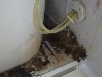 お風呂クリーニング!お掃除の事なら私にお任せ下さい丁寧に作業させて頂きます!のサービスサムネイル写真4