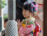 椚店長の出張撮影・カメラマン（七五三）(画像61434-2)