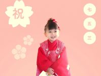 北野店長の出張撮影・カメラマン（七五三）(画像63527-5)