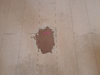 【最安】フローリングのキズ、引っ掛かりなど最安で補修します。のサービスサムネイル写真1