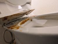 サニタリーシャイン：究極のトイレ徹底洗浄と抗菌コーティング完全サービスです☆のサービスサムネイル写真1