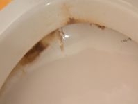 サニタリーシャイン：究極のトイレ徹底洗浄と抗菌コーティング完全サービスです☆のサービスサムネイル写真2