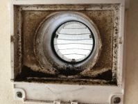 コウモリは糞、尿で出入り口が汚れますのサービスサムネイル写真1