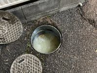 年中無休・24時間対応◇早朝・夜間の依頼もお任せください!【排水管洗浄】のサービスサムネイル写真5