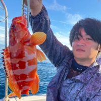 ゴミが散乱、片付けれなくなった場所、綺麗にします