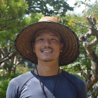 庭木の剪定（自然形、透かし、刈り込み、高さ調節、松）体力・技術・知識に自信あり